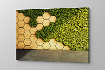 Obraz Vertikálna zelená záhrada na drevenej stene 1980